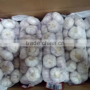 New Crop Garlic 2016 thumbnail-5