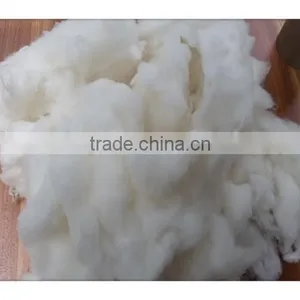 New Season Promotion Clean Spinning Felting Weaving Washed Sheep Wool Fiber thumbnail-1