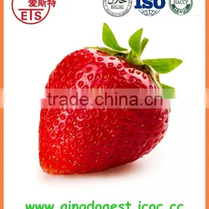 For Sale Best Quality Whole Fresh Strawberry thumbnail-4