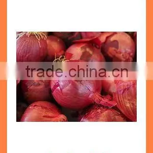 Export China Fresh New Crop Red and Yellow Onion thumbnail-2