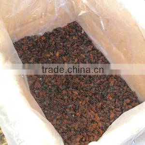 DRY INDUSTRIAL RAISIN FROM INDIA thumbnail-4
