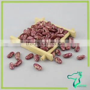 Red Speckled Kidney Beans thumbnail-3
