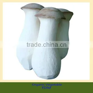 High Quanlity King Oyster Mushroom thumbnail-1