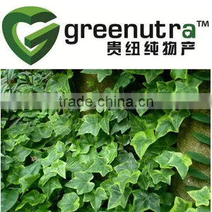 Ivy Extract/Hederagenin C /Hedera Helix Extract thumbnail-1