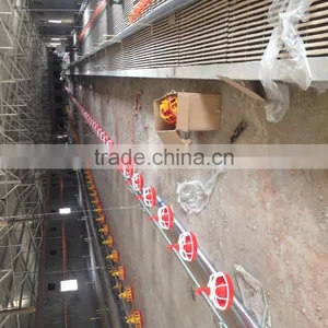 Breeder Chain Pan Feeding System thumbnail-5