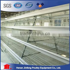 Professional Manufacture Design Poultry Layer Chicken Cages thumbnail-3