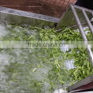 Automatic Vegetable Washing Machine,fruit Washing Equipment thumbnail-4