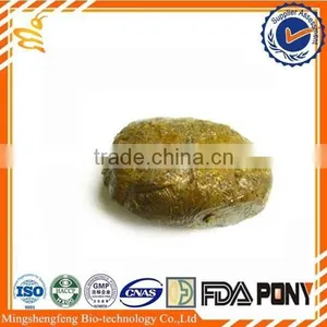 Raw Propolis From the Biggest Bee Industry Zone of China thumbnail-1