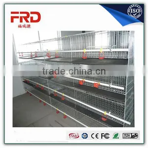 Trade Assurance 100% Payment Guarantee Factory Good Quality Poultry Battery Cage for Nigerian Farm thumbnail-2
