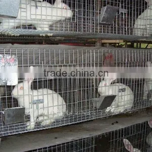 Galvanized Rabbit Cage From Dircet Factory thumbnail-2