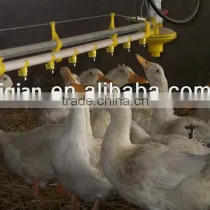 360 Degree Water Nipple Drinker for Chicken thumbnail-2