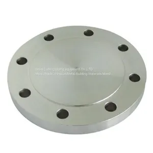 Blind Flange thumbnail-1