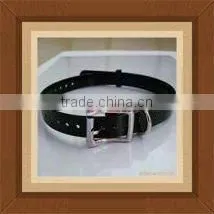 More Style Pet Lead Dog Collars With TPU Materials,china Manufacturer thumbnail-1