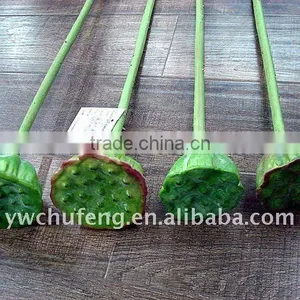 Single Artificial Lotus Fruit thumbnail-1