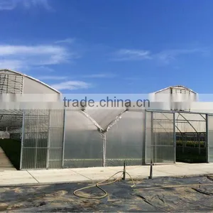 China Greenhouse for Sale thumbnail-1