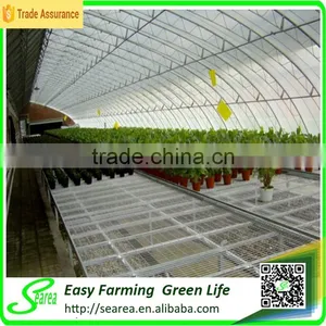 Anti Snow Solar Greenhouse for Sale thumbnail-5