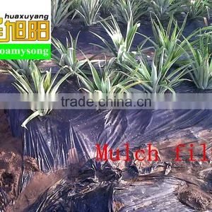 PE Balck Agricultural Polyethylene Plastic Film Rolls thumbnail-1