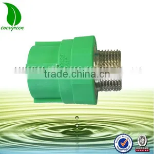 Professional Manufacturer Ppr Male Thread Socket thumbnail-1