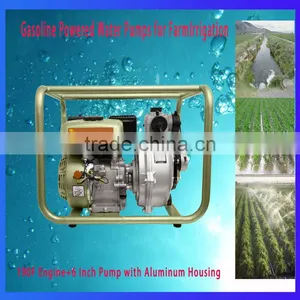 5hp Motor Driven Centrifugal Clean Water Pump For Irrigation Usage thumbnail-1