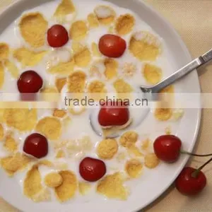 Kelloggs Corn Flakes Machine/making Machine/roasting Machine h thumbnail-1