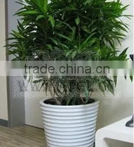 Practical Garden Plant Pot thumbnail-1