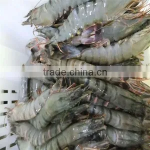 Frozen Shrimp Scampi Recipes thumbnail-1