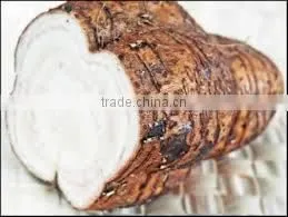 Vidhari Kand thumbnail-1