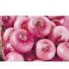 Red Onion,yellow Onion,shallot thumbnail-1