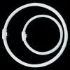 Circular Fluorescent Lamp thumbnail-1