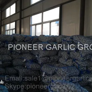 New Crop 5.5cm Normal White Fresh Garlic In 10 kg Mesh Bag Packing thumbnail-5