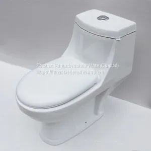 Bathroom Sanitary Ware Washdown One Piece Toilet thumbnail-1