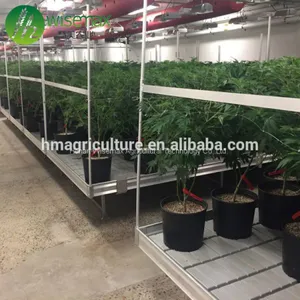 High Quality Ebb and Flow Rolling Plastic Trays Hydroponic Flood Seedbed thumbnail-1