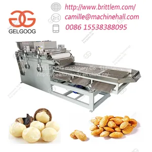 Industrial Almond Walnut Cashew Chopping Machine to Make Peanut Chikki in Plant thumbnail-1