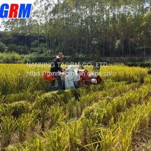 Agricultural Professional Supplier Mini Wheat Combine Harvester / Wheat Cutting Machine thumbnail-2