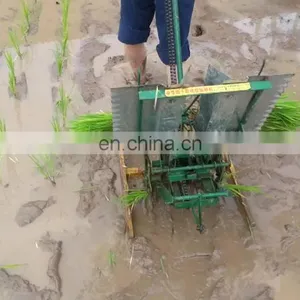2 Rows Durable Manual Rice Seeder /manual Rice Transplanter Machine for Sale thumbnail-1