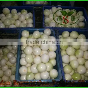 China Peel the Red Onion / Peel Onions/yellow Onion thumbnail-2
