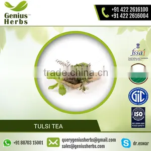 Fine Quality Tulsi Tea for Healthy Body From Top Supplier thumbnail-1