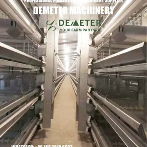 Layer Chicken Battery Cage Automatic Equipment thumbnail-1
