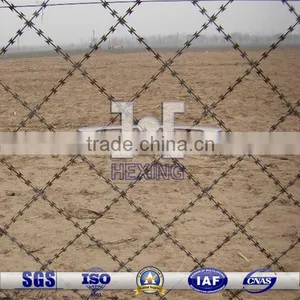 Hot Dipped Galvanized Welded Razor Wire Fence thumbnail-1
