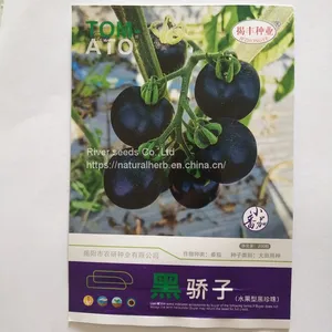 Disease Resistant Black Tomato Seed Best Hybrid Vegetable Black Tomato Seeds for Sale thumbnail-1