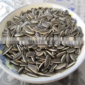 Wholesale Chinese Famous Brand Byloo Food Roasted Sunflower Seeds Sunflower Kernel Seeds Sunflower Melon Seeds thumbnail-5