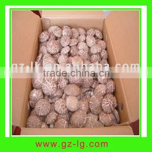 Dried Shiitake Mushroom thumbnail-1