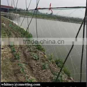 HDPE High Quality Cucumber Yam Support Plant Trellis Net thumbnail-3