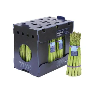 Wholesale Corrugated Plastic / Coroplast Boxes for Fruit and Vegetable thumbnail-2