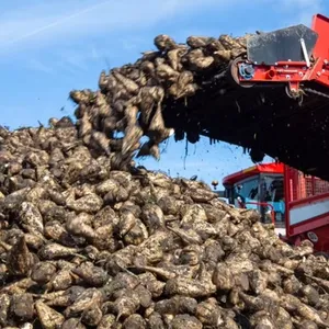 Genyond 300 TONS PER DAY CAPACITY Sugar Beet Processing Line thumbnail-1