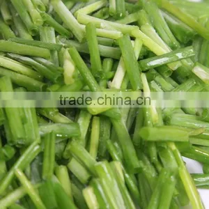 IQF Chopped Chives, Fresh Chives 2015 thumbnail-1