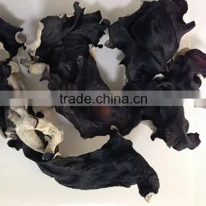 Dried White Back Black Fungus thumbnail-2
