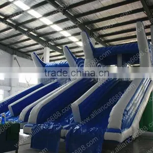 Dolphin Commercial Water Slide With Swimming Pool thumbnail-1
