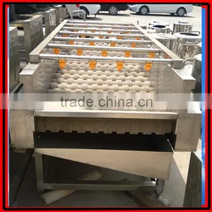 Commercial Red Date Washing Machine|Automatic Olive Cleaning Machine thumbnail-2