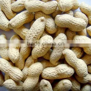 Roasted Peanut for Sale thumbnail-1